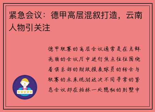 紧急会议：德甲高层混叙打造，云南人物引关注